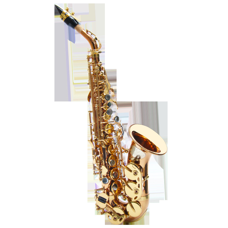 津宝JBSSC-1010 高音弯管小萨克斯风降B调 初学演奏儿童管乐器