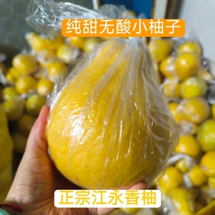 正宗湖南永州特产粗石江江永香柚小柚子原产地直发湘超同款香柚