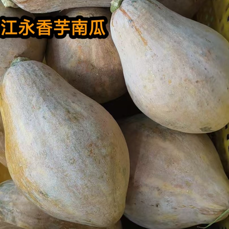 湖南永州江永香芋南瓜宝宝辅食南瓜饼老人孕妇健康农家菜农家自种