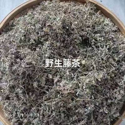 正宗湖南永州江永特产野外生长藤茶霉茶泡水喝健康绿色产品0污染