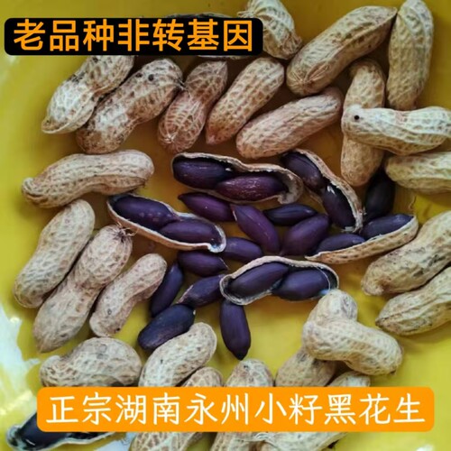 正宗湖南永州小籽花生黑籽红籽花生农家自种带壳发货灰水粑粑