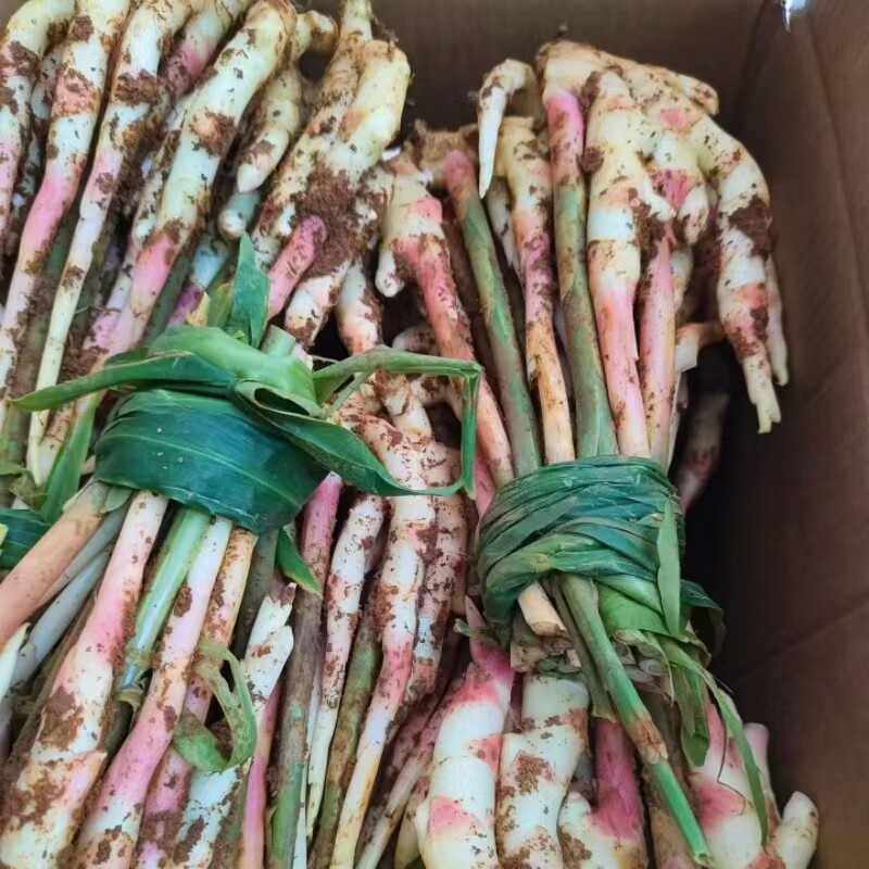 江永香姜脆嫩原产地直发