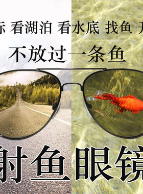 钓鱼射鱼眼镜看水底 专用 户外高清偏光镜男变色智能日夜两用墨镜
