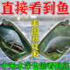 钓鱼眼镜看漂专用射鱼眼偏光墨镜水底看鱼神器户外 德国黑科技
