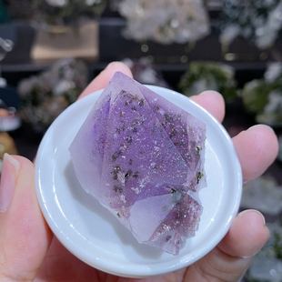 直播专用链接 不含偏远 满100 包邮