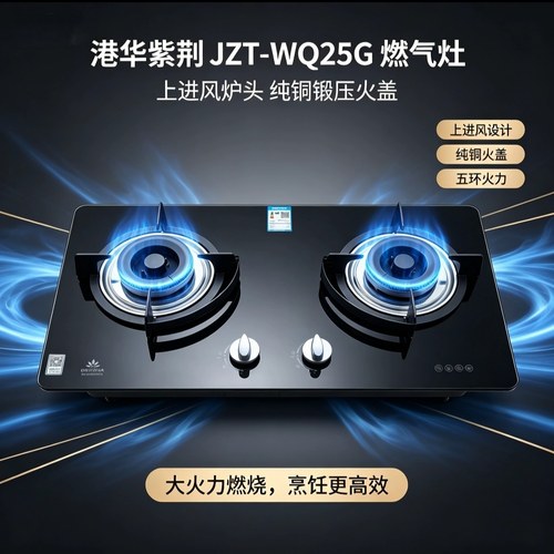 正品港华紫荆JZT-WQ25G燃气灶双灶家用天然气嵌入式灶