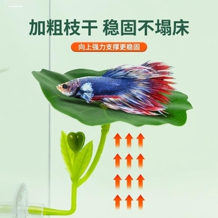 新款泰国斗鱼休息产卵仿真荷叶子圆形单双层栖息床睡觉用品玩具