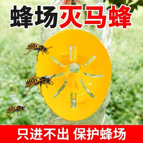 蜂王捕王器蜜蜂诱捕器塑料捉王器捉马蜂胡蜂不伤蜂捕王工具王笼