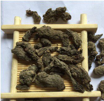 天葵子 紫背天葵天葵根 天葵草 千年老鼠屎 金耗子屎 散血球500g
