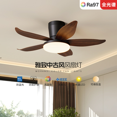 索燕无频闪防蓝光科技护眼