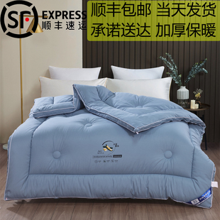 被子冬被加厚保暖大豆纤维棉被被芯春秋被宿舍单人四季通用顺丰