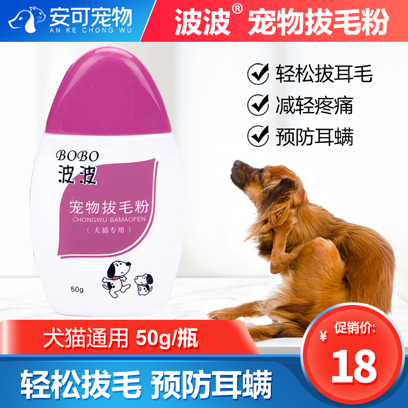 贵宾犬拔耳毛价格 贵宾犬拔耳毛图片 星期三