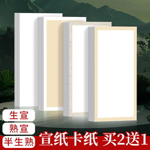 加厚宣纸长方形国画卡纸镜片纸毛笔书法专用纸国画纸空白软卡画画装裱扇面纸全白全麻手工生宣纸作品纸批发
