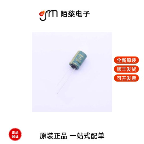 RC063M101LO8*12TH-2A1E|RC050M681LO13*20TH-2A1E全新原装