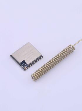 全新原装RA-01SC正品/Ra-01SC（2件套）