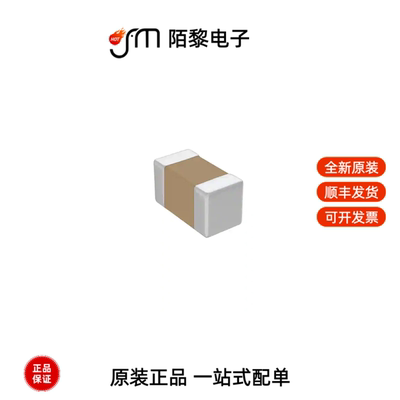 B72590D0050H160|B72590D0150H060|B72500D0300H060全新原装