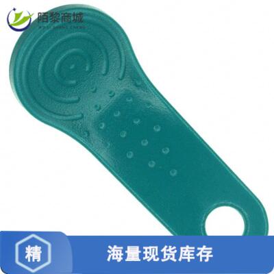 原装正品DS9093AG+全新IBUTTON KEY RING MOUNT GREEN