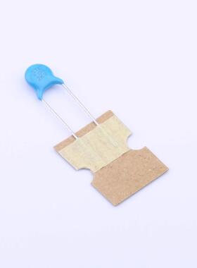 原装正品R06S1B101KQ0T0S0N0全新100pF ±10% 2kV