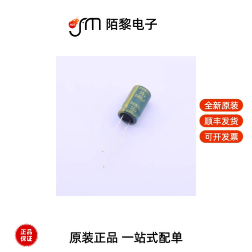 RC035M681LO10*16TH-2A1E|RC050M102LO13*25TH-2A1E全新原装