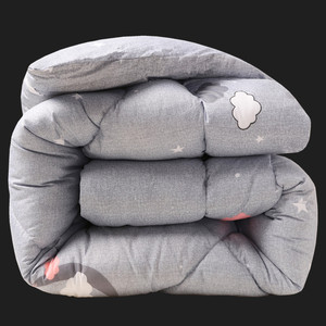 冬季加厚保暖全棉被芯春秋冬天被子学生宿舍单双人床太空棉被被褥