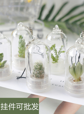 新款创意试管绿色植物钥匙扣挂件 迷你多肉仙人掌小礼品送人礼物