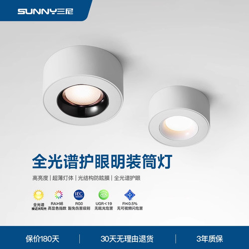 三尼客厅玄关筒灯明装