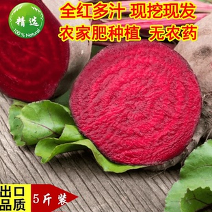 2025年新鲜原生态甜菜根打汁甜根菜甜菜头红菜头现挖5斤纯红多汁