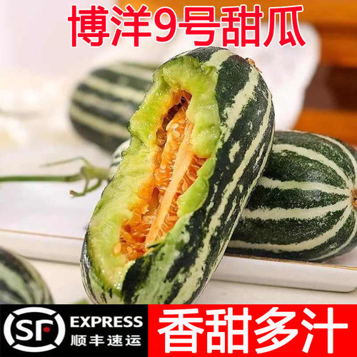 正宗山东博洋9号甜瓜新鲜现摘酥脆甜5斤当季水果香瓜羊角九号蜜瓜