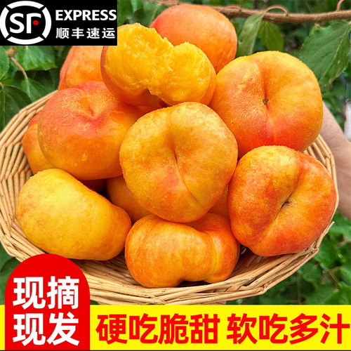 黄金油蟠桃新鲜水果当季整箱应季孕妇扁桃子山东蒙阴彩虹蟠桃5斤