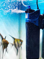 Sensen sterilization pump, sterilization lamp, filter pump, UV sterilization lamp, built-in filter for fish tank, water purifier, three-in-one silent thumbnail 4