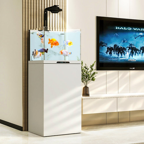 森森客厅超白底滤金鱼溪流造景