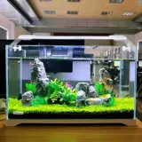Sensen Goldfish Tank Маленький аквариум ультра -белый стеклянный