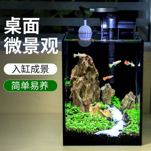 森森桌面高清鱼缸小型生态微景观
