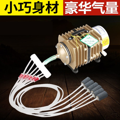 森森小型鱼池养鱼冲氧卖鱼充氧机