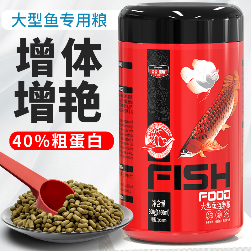 森森大型混合糧龍魚發財魚大型魚