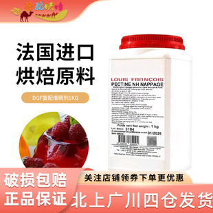 法国进口迪吉福DGF镜面NH果胶粉 冷凝剂食品添加剂烘培甜品原料