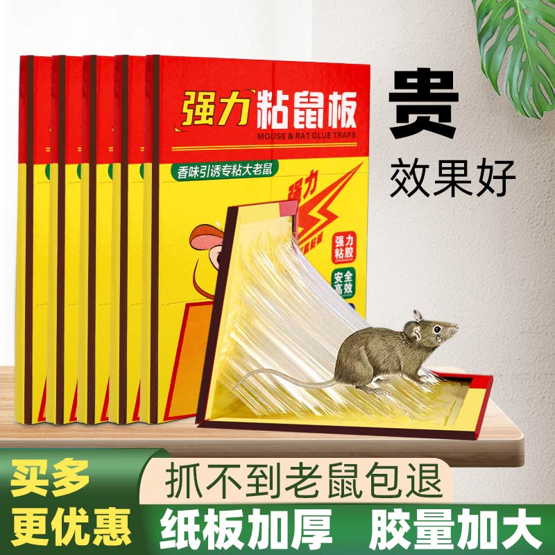 녹색 마우스 스티커 슈퍼 강한 마우스 접착 보드 증가 두꺼운 마우스 접착제 가정용 마우스 잡기 및 추방 의학