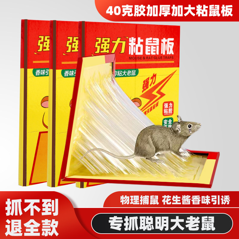 녹색 마우스 스티커 슈퍼 강한 마우스 접착 보드 증가 두꺼운 마우스 접착제 가정용  마우스 잡기 및 추방 의학