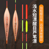 刀郎芦苇鱼漂浅水漂草洞浅滩醒目加粗浮漂底钓鲫鱼漂鲤鱼漂