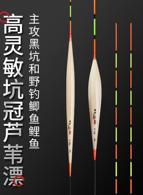 刀郎竞技芦苇浮漂黑坑鲫鱼
