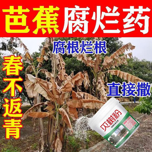MIE树粉树剂环秦死树根杂草去枯树烂酮根药腐肥料竹子藤蔓芭蕉