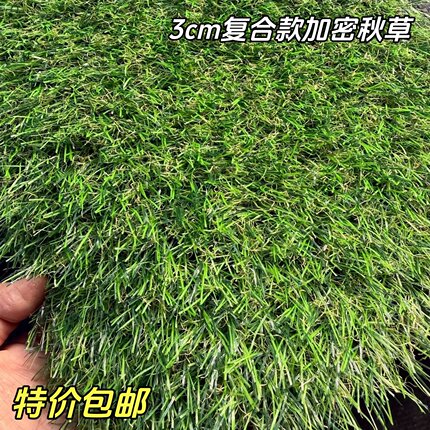 仿真复合秋色草坪3cm井盖荒地加密塑料毯人造枯草假草皮垫子装饰