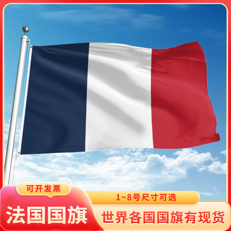 法国国旗3号4号5号6号户外旗手摇旗串旗办公桌旗室内会议签约旗帜外国旗万国旗小旗帜广场装饰吊旗落地旗