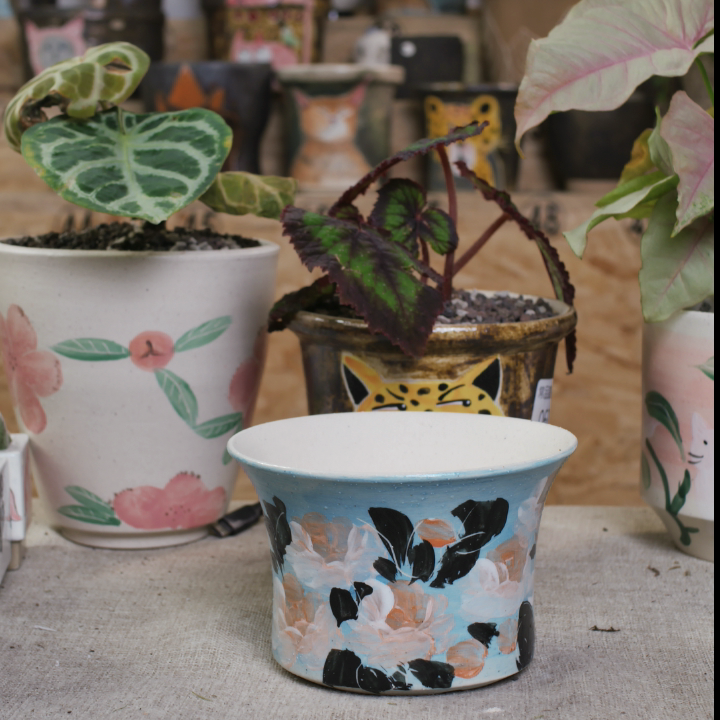 227口12.5高8.8,鲜花速递/花卉仿真/绿植园艺,花盆,淘宝优惠券,粉丝福利购,淘宝优惠卷