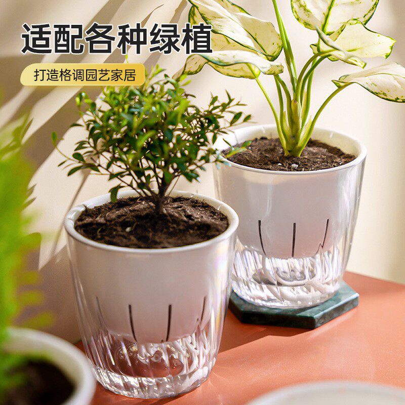 办公室透明懒人花盆小型自吸水绿萝兰花专用室内桌面小型加厚花盆