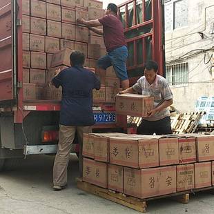 速发青冈木炭青钢炭去皮青杠炭炭野炊烧烤炭露营炭户外烧烤灶具用