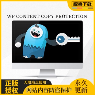 WP Content Copy Protection 内容保护插件 文字防复制 图片水印