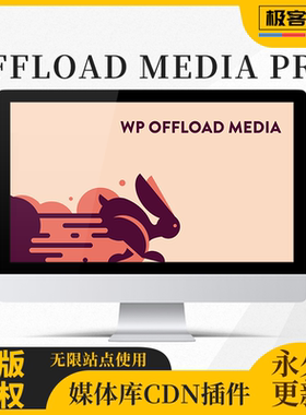 WP Offload Media Pro 插件 WP媒体库 WP网站加速插件 官方原版