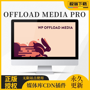 WP Offload Media Pro 插件 WP媒体库 WP网站加速插件 官方原版
