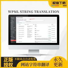 WPML String Translation插件 多语言字符串翻译插件原版授权